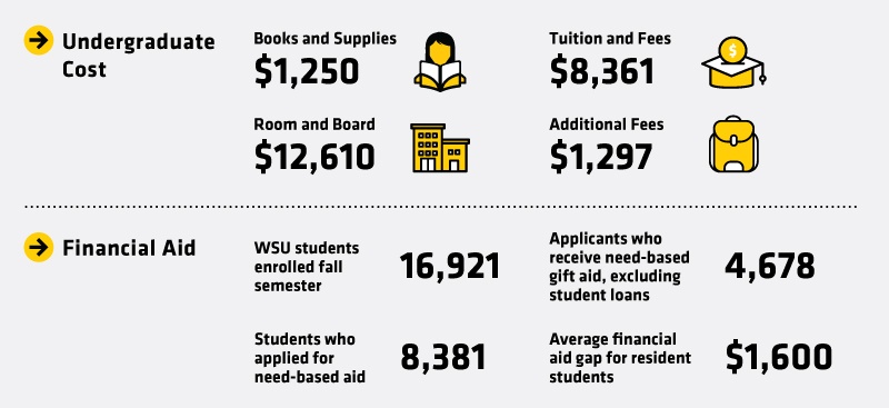 Financial Aid Infographic