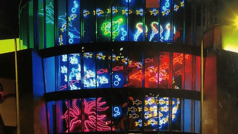 Michael Flechtner’s neon aquarium