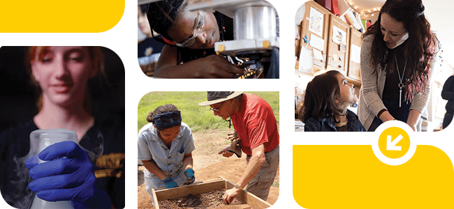 Shocker Fund Header